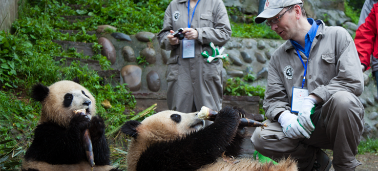 On the Trail of Giant Pandas in China