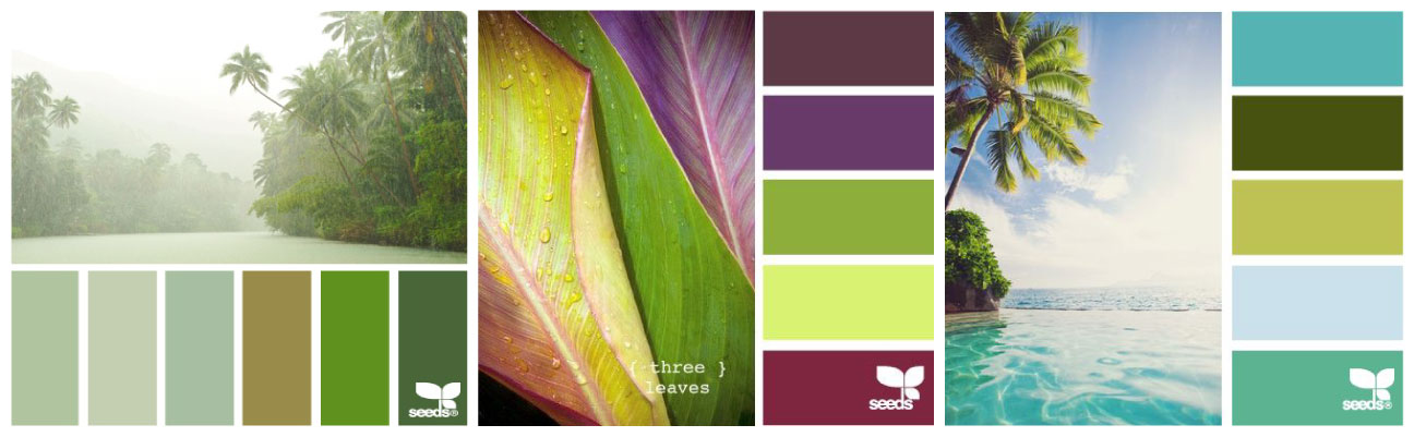 Choosing a tropical color palette