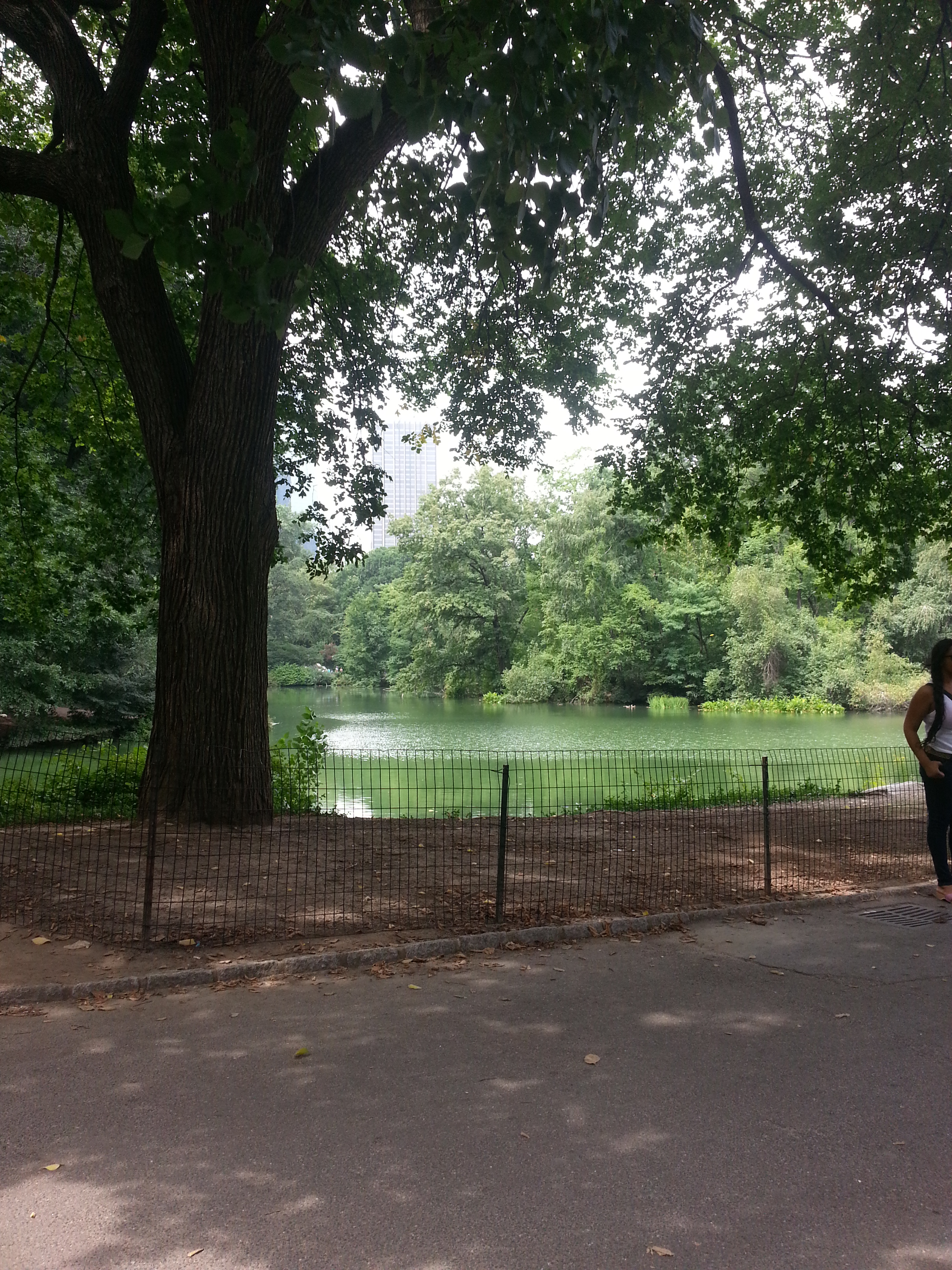TIme to Get Away - New York City Parks - FINDS Blog