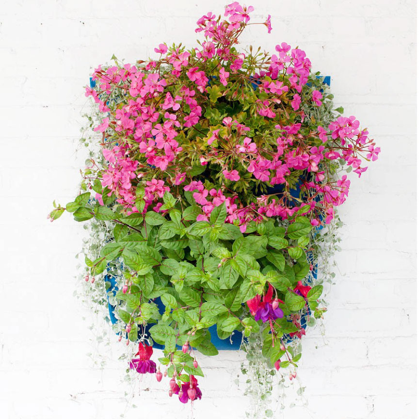 Add-color-with-vertical-planters---Make-Your-Space-Summer-Ready---FINDS-Blog